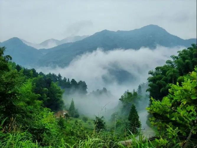 孩子成长风水指南：开学季必备知识